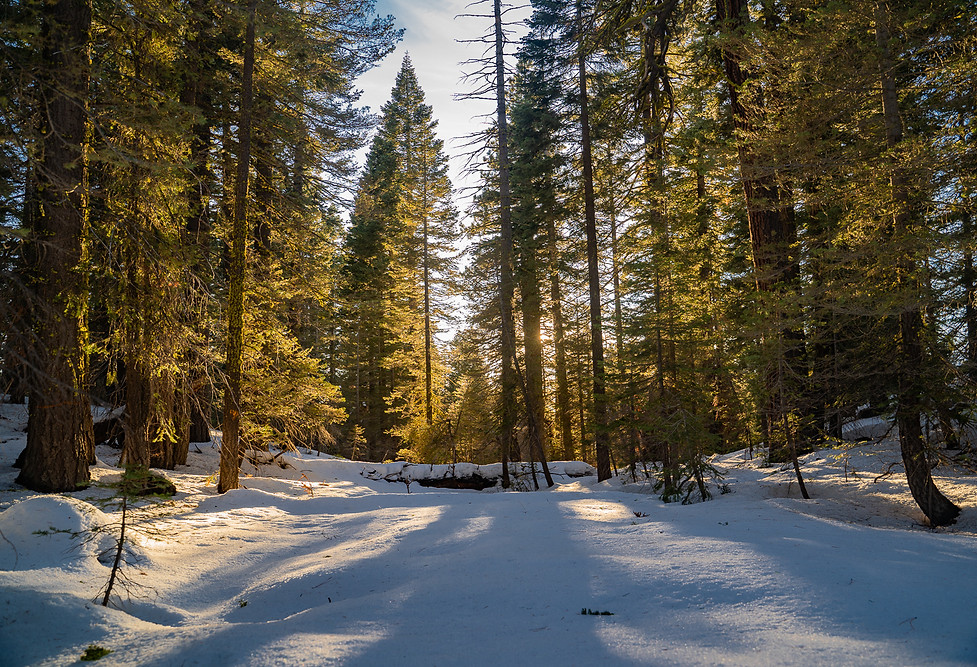 Tahoe Sunset Hike Snowshoe Tahoe
